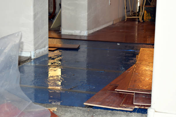Professional Basement Flood Cleanup technician working in Bessemer, PA